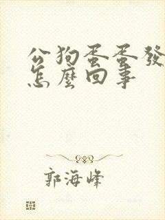 公狗蛋蛋发红是怎么回事