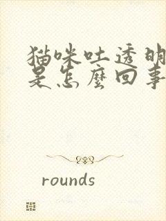 猫咪吐透明粘液是怎么回事