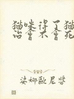 猫咪得了猫瘟不治会不会死