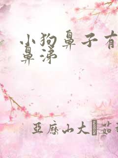 小狗鼻子有点流鼻涕