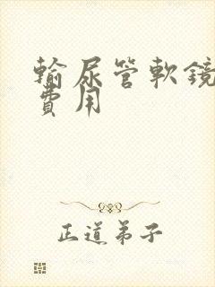 输尿管软镜结石费用