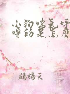 小狗喘气呼噜呼噜的是怎么回事