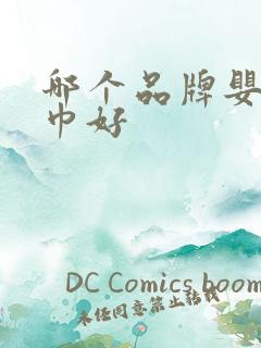 哪个品牌婴儿浴巾好