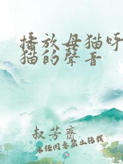 播放母猫呼叫小猫的声音