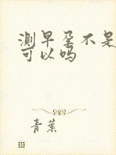 测早孕不是晨尿可以吗