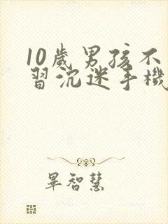 10岁男孩不学习沉迷手机怎么办