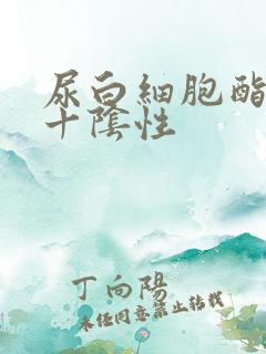 尿白细胞酯酶2十阴性