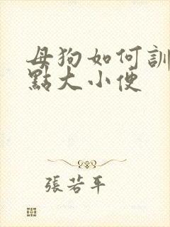 母狗如何训练定点大小便