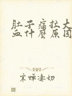 肚子痛拉大便出血什么原因