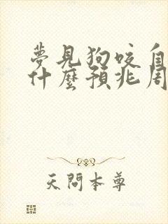 梦见狗咬自己是什么预兆周公解梦