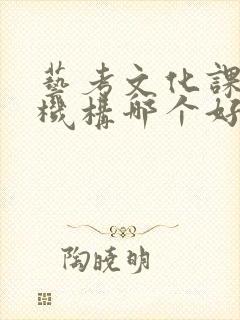 艺考文化课补习机构哪个好