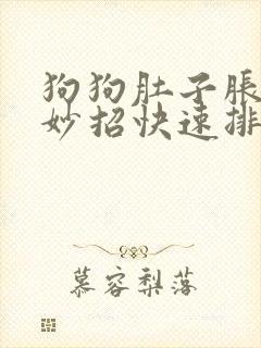 狗狗肚子胀气7妙招快速排气