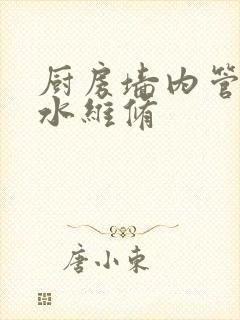 厨房墙内管道漏水维修