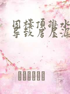 因楼顶排水管堵导致房屋漏水