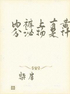 内裤上有黄色的分泌物是什么原因女人