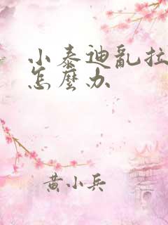 小泰迪乱拉乱尿怎么办