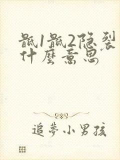 骶1骶2隐裂是什么意思