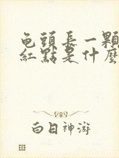 龟头长一颗颗小红点是什么原因痒