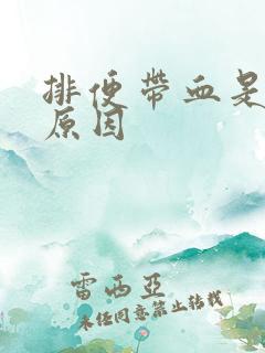 排便带血是什么原因