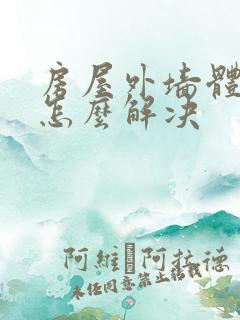 房屋外墙体渗水怎么解决