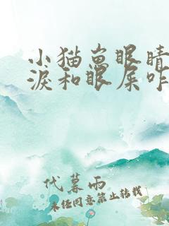 小猫崽眼睛流眼泪和眼屎咋回事