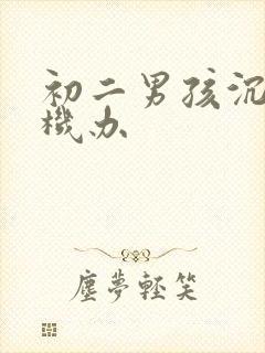 初二男孩沉迷手机办