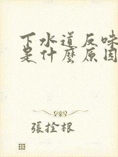 下水道反味严重是什么原因