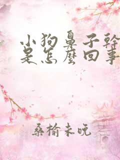 小狗鼻子干干的是怎么回事