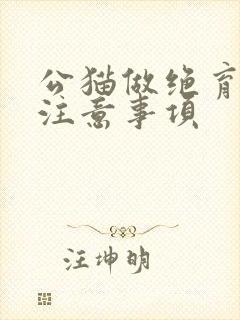 公猫做绝育前后注意事项