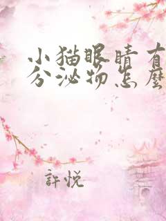 小猫眼睛有黄色分泌物怎么回事