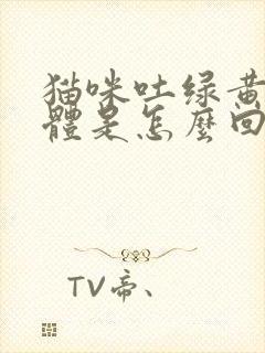 猫咪吐绿黄色液体是怎么回事