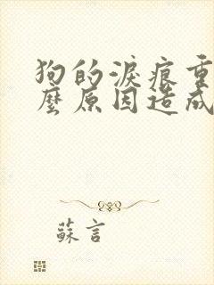 狗的泪痕重是什么原因造成的