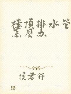 楼顶排水管堵了怎么办