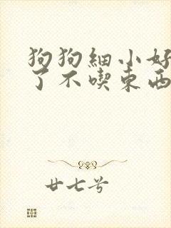 狗狗细小好几天了不吃东西怎么办