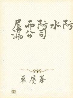 屋面防水防水补漏公司