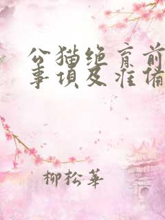 公猫绝育前注意事项及准备