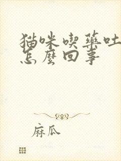 猫咪吃药吐白沫怎么回事