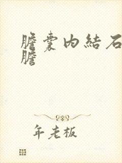 胆囊内结石切除胆