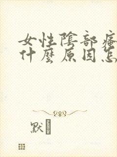 女性阴部瘙痒是什么原因怎么办