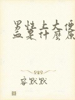 男性上大便拉出血是什么原因