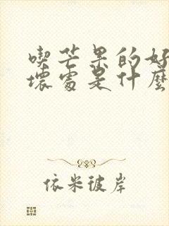 吃芒果的好处和坏处是什么啊