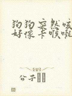 狗狗突然咳咳咳好像卡喉咙似的