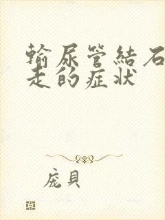 输尿管结石往下走的症状