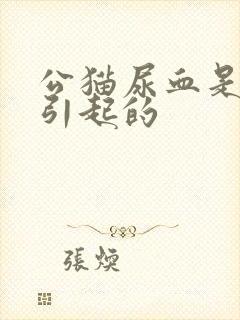 公猫尿血是怎么引起的