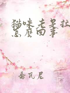 猫咪老是拉软便怎么回事