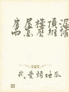 房屋楼顶漏水漏雨怎么维修