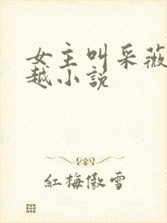 女主叫采薇的穿越小说