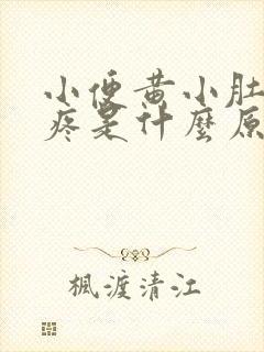 小便黄小肚子胀疼是什么原因