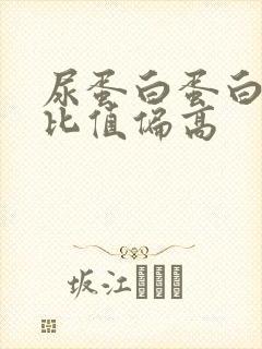 尿蛋白蛋白肌酐比值偏高