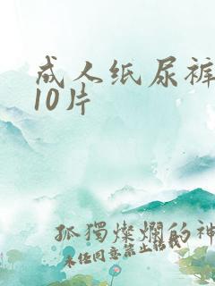 成人纸尿裤一包10片